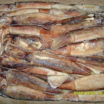 Makanan Laut Frozen Illex Loligo Squid 100-200G 10Glazing